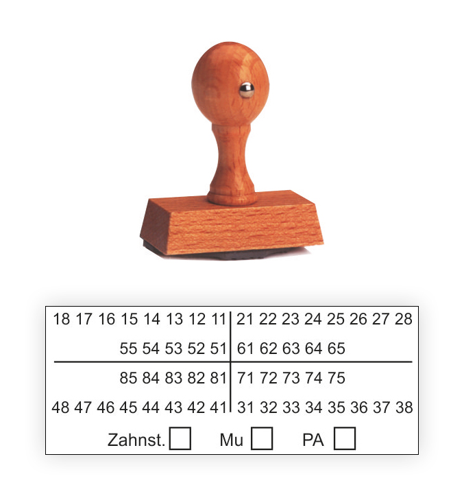 Zahnschema Stempel Z01